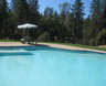 Pool 1